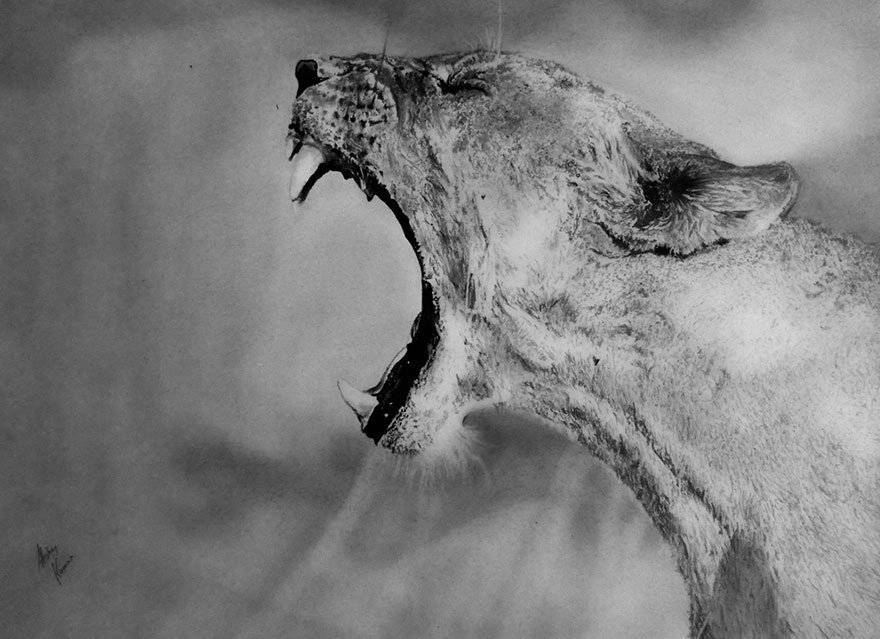 hyper-realistic-drawings-graphite-rush-akshay-kumar hyper-realistic-drawings-graphite-rush-akshay-kumar