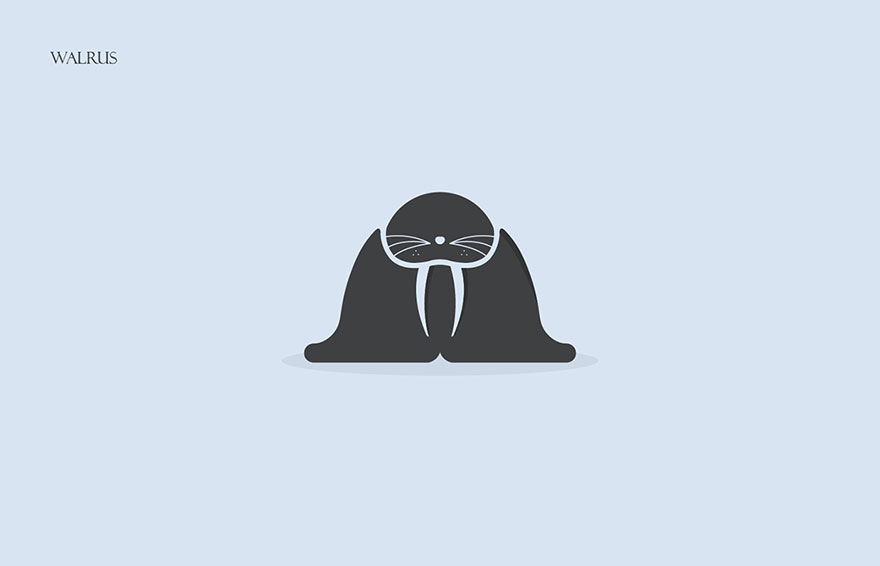 Minimalist illustrated walrus representing animal alphabet made from the first letters of their names by Rami Hoballah