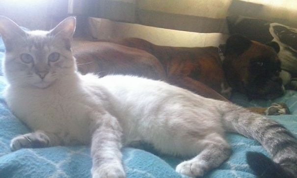 My Beautiful Baby's Chase And Fleur