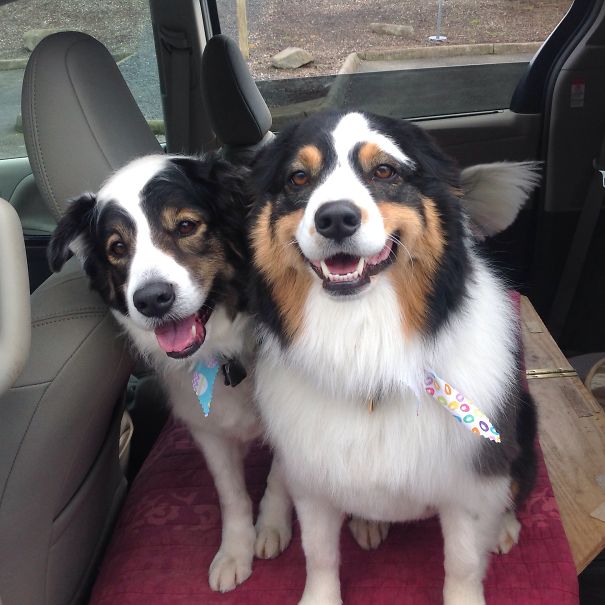 Girls Who Go Everywhere Together!