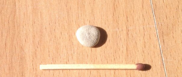 Sooooo... Tiny! .;,;.