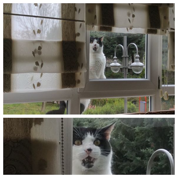 If You Won't Let Me In, I Will Scare You To Death.