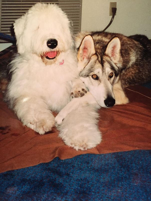 Bestest Buddies❤️❤️