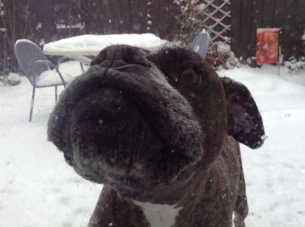 Please Please Let Me In. I'll Give You Kisses In Exchange For Warmth ......