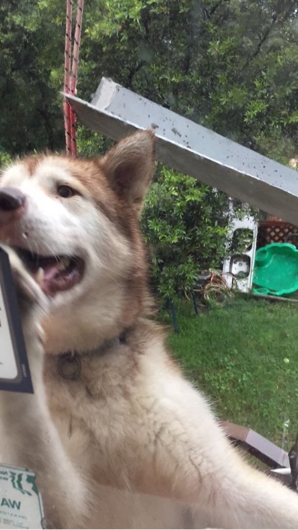 Hello......i Promise I'm Dry