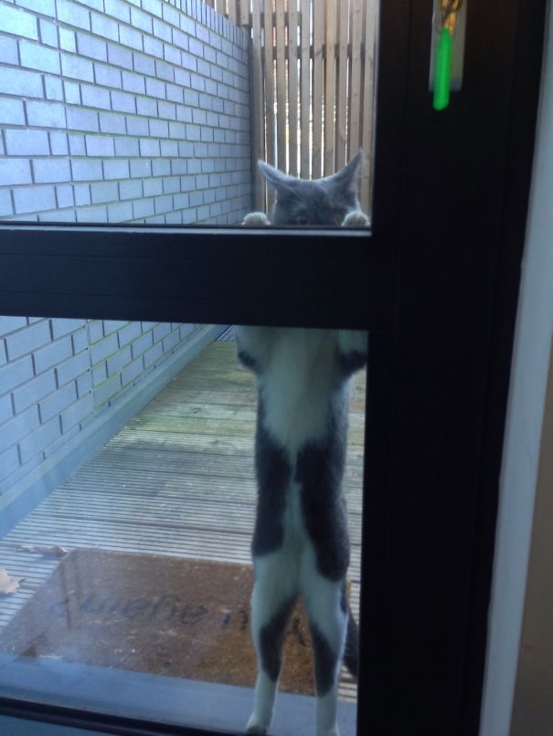 I'll Be A Good Girl, I Swear ..