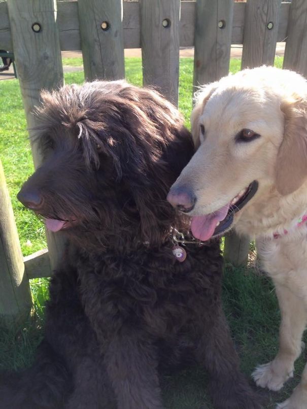 Best Friends Forever