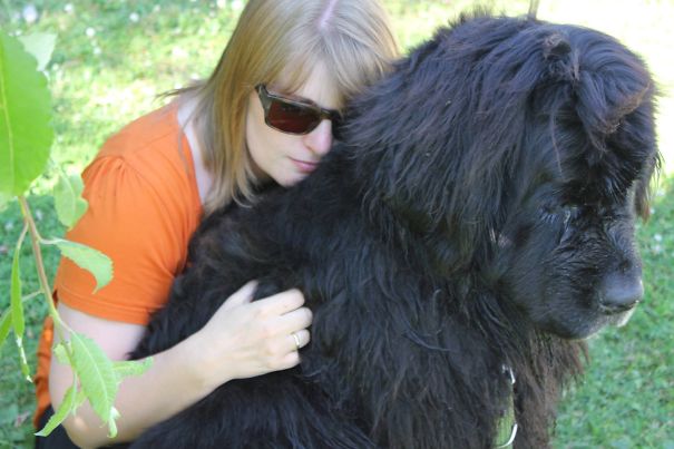 Big Dogs Also Need Hugs