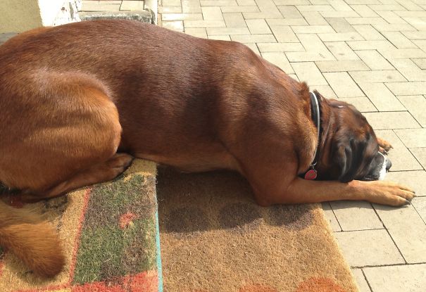 Enjoying The Sun Sometimes Requires Creativity