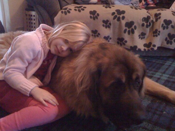 Yogi Is Just A Big Pillow