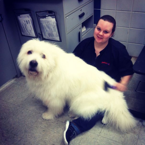 How Einstien Insists On Getting Groomed.