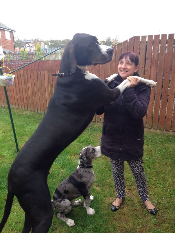 Mammies Boy 11mth Old