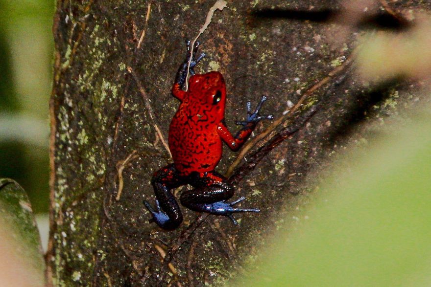 Carol Bock Photos Carol Bock Photos
