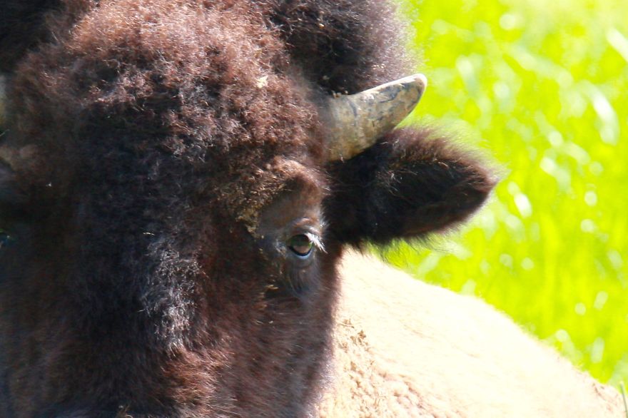 Carol Bock Photos Carol Bock Photos