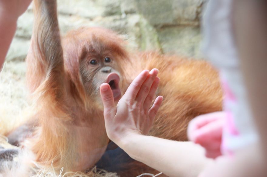 Carol Bock Photos Carol Bock Photos