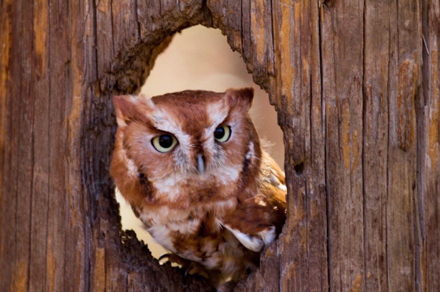 Carol Bock Photos Carol Bock Photos