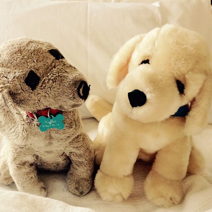 Ruffus The First, And Ruffus The Second For My Little Boy, Due This September. 26 Years Apart.