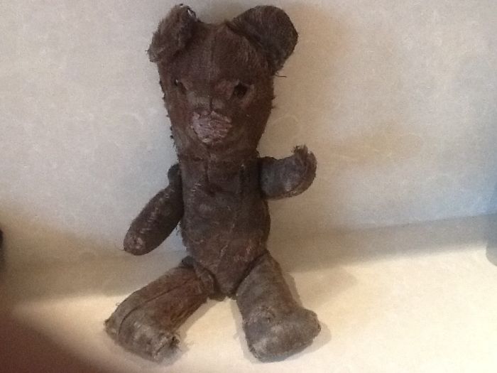 This Is 'old Ted' And He Is 69 Years Old And Much Loved