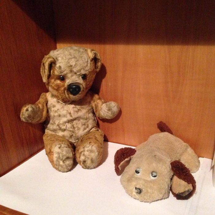 Mickey Finn (husband's Teddy Handed Down From His Dad) Aprox 56 Yrs Old & My Woofy 28yrs Old