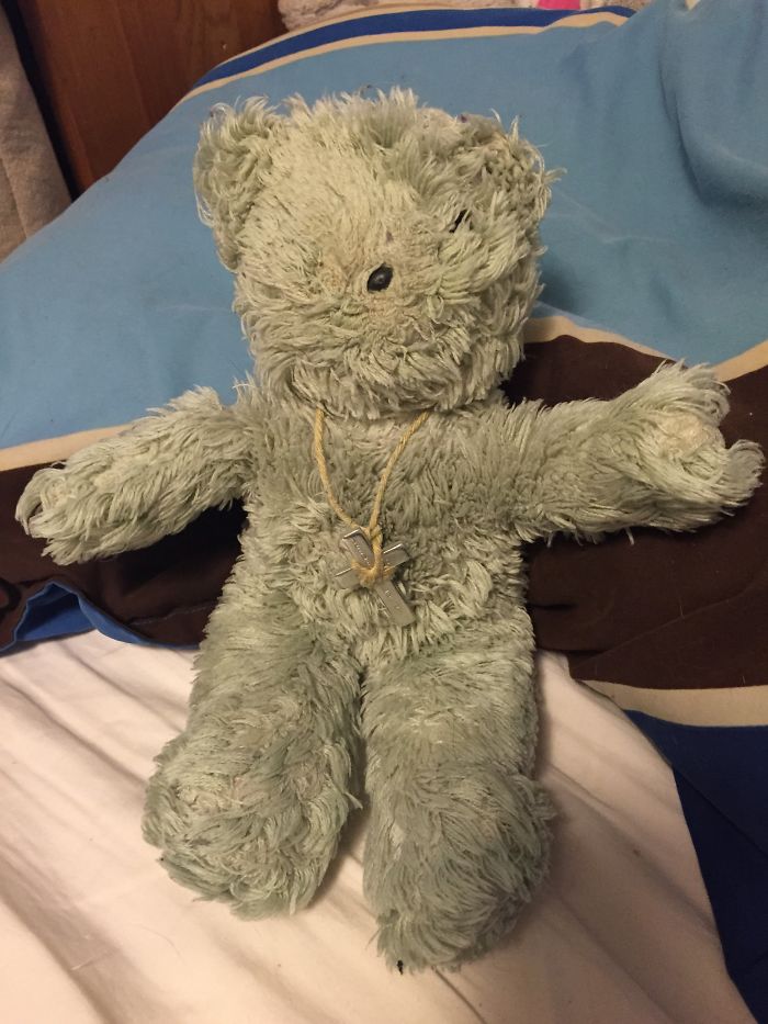 This Is Harry. He Is Almost 23. He Used To Be White. He Sleeps Under My Pillow W My Blankey Now