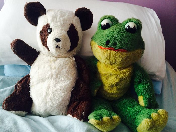 Panda And Kermy Both 36 Years Old