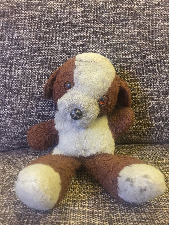 Meet Enkie. I Have Had Him For 35 Years. Love Him Lots. ❤️