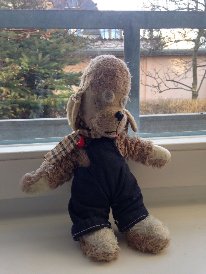 This Is My Boy, Bonzie. He's Been With Me Since I Was Knee High To A Grasshopper. He Rocks! :-)