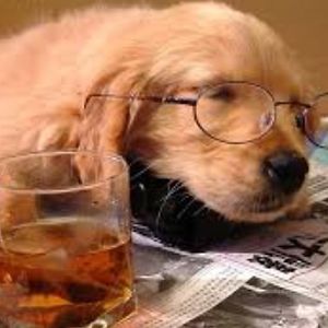 christofwiseman avatar