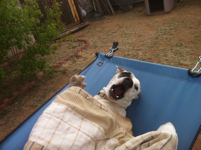 "i Said, Five More Minutes!"