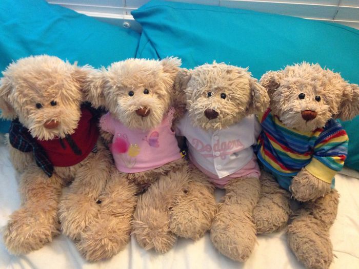 My Little Guy Targét On The Far Right! (youngest To Oldest: Luigi, Touché, Gigí & Targét) :)