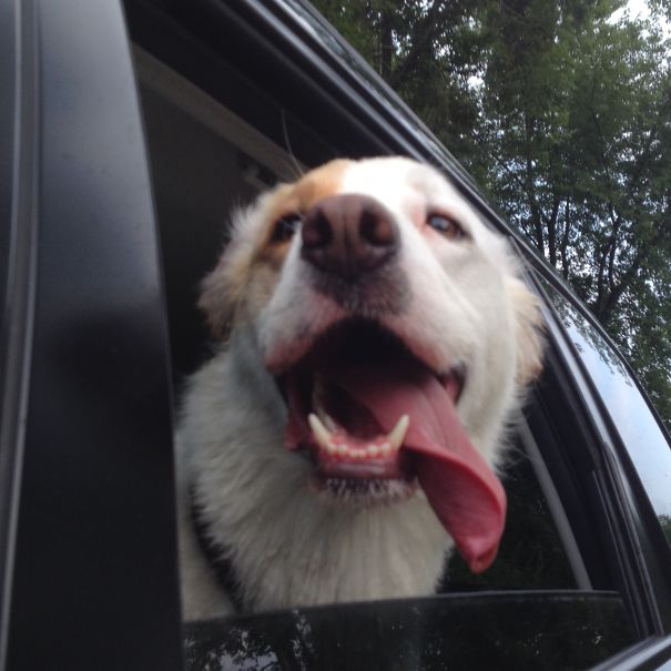 Sun's Out, Tongues Out.