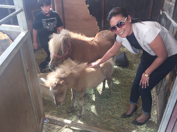 Woman smiling and petting cute mini horses in a stable with a young boy nearby.