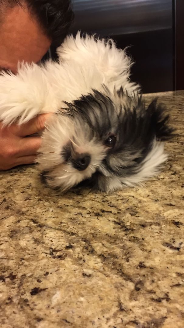 She Loves Her Belly Rub!