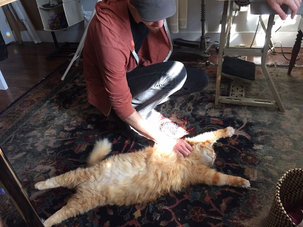 Zip Tie Loves Belly Rubs More Than Anything