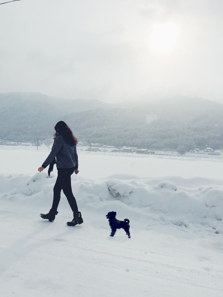 "Travel" With My Dog: I Photoshopped My Dog Into My Traveling Photos "Travel" With My Dog: I Photoshopped My Dog Into My Traveling Photos