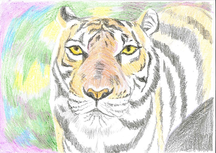 I Explore The Possibilities Of Drawing I Explore The Possibilities Of Drawing