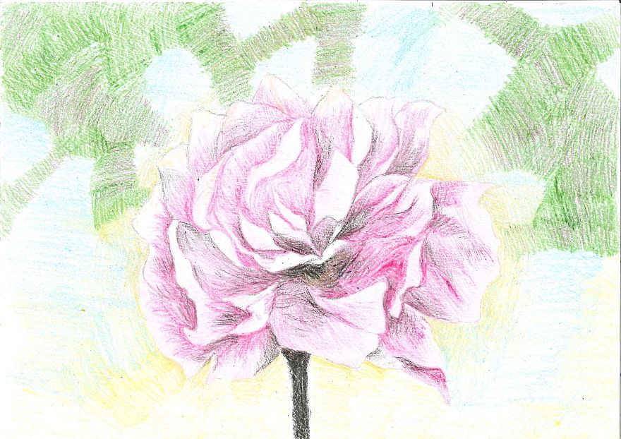 I Explore The Possibilities Of Drawing I Explore The Possibilities Of Drawing