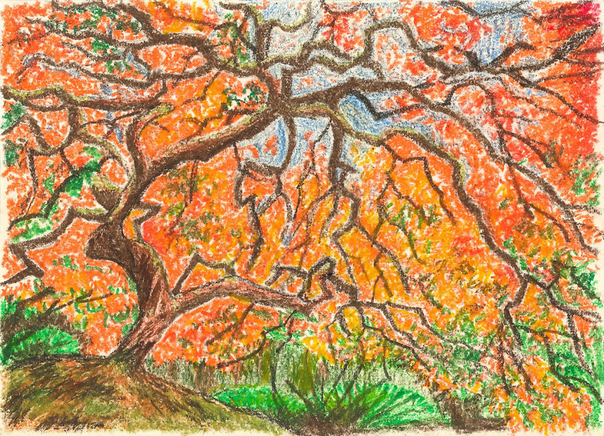 I Explore The Possibilities Of Drawing