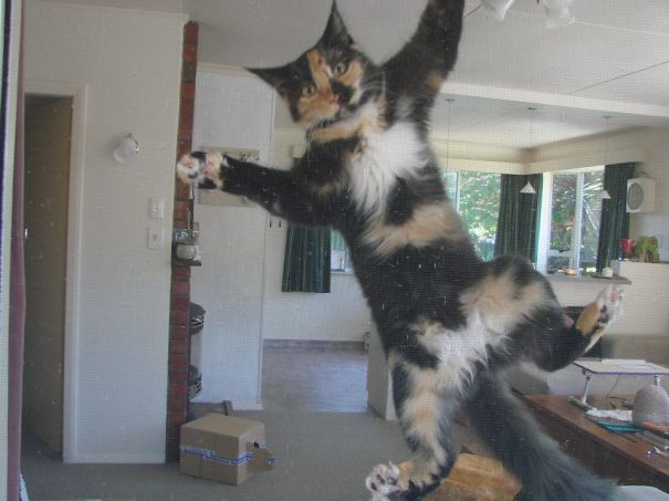 I'm Getting Tired Of Hanging About...let Me In Already