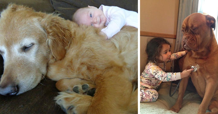 30 Adorable Photos Proving That Your Kids Need A Dog