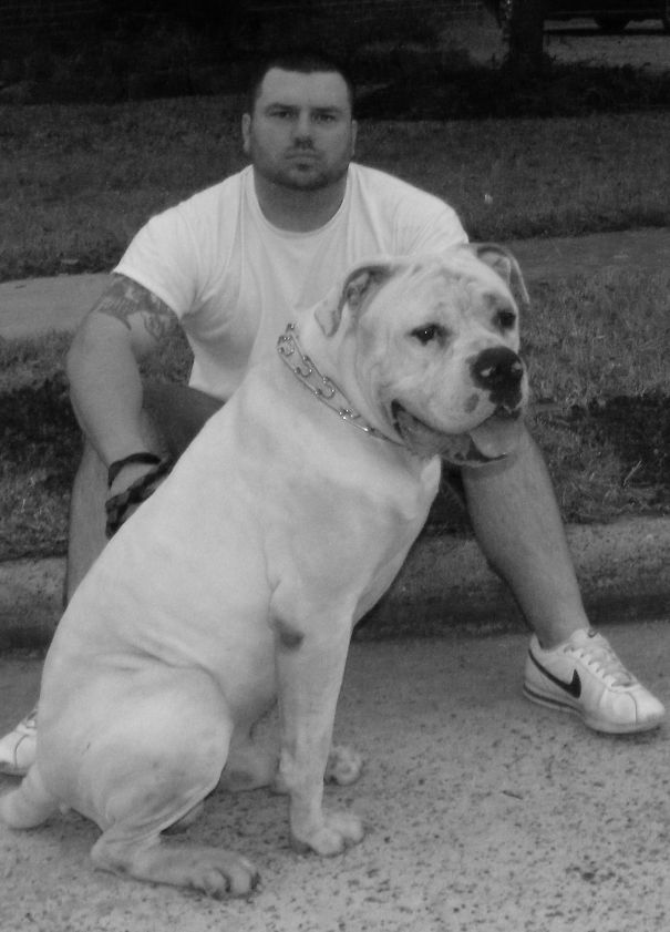 My 130# American Bulldog "kilo"