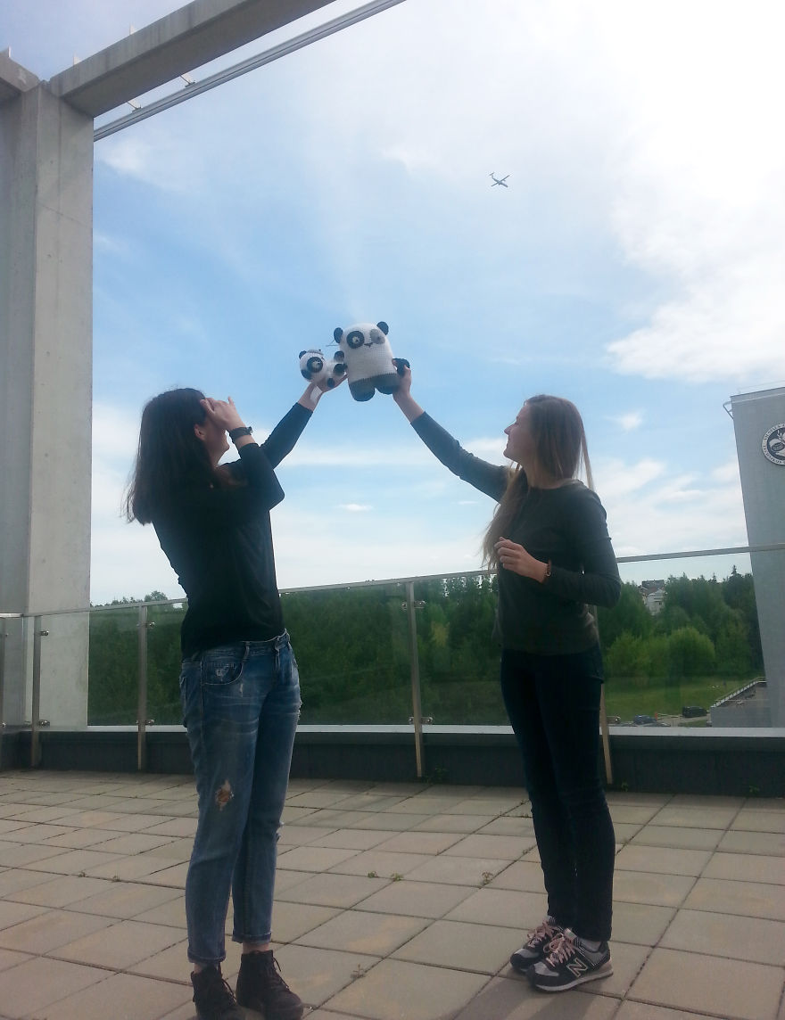 Pandas Wanted To Fly As High As The Plane