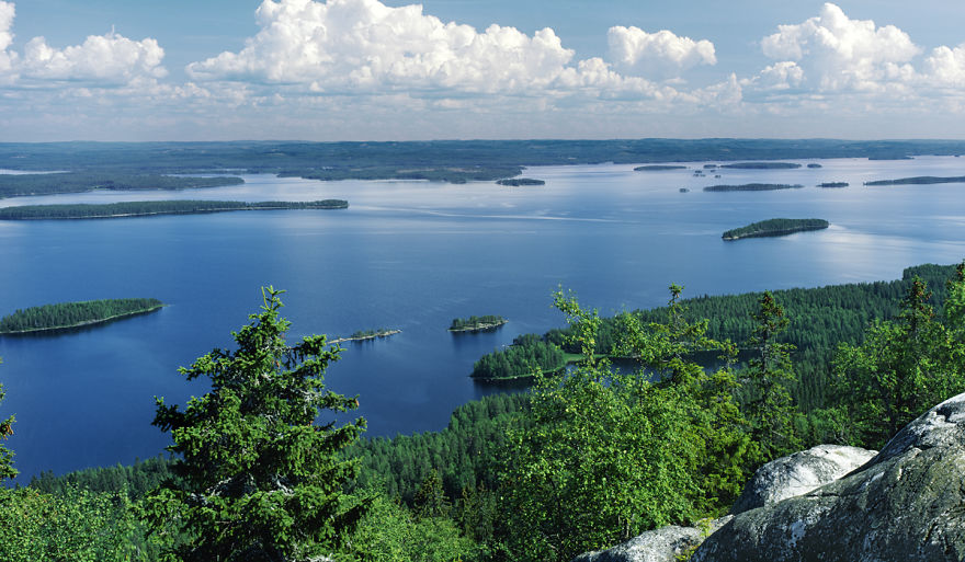 Lake Pielinen Seen From The Mountain Koli