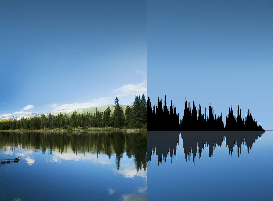 Nature's Patterns Transformed Into Sound Waves