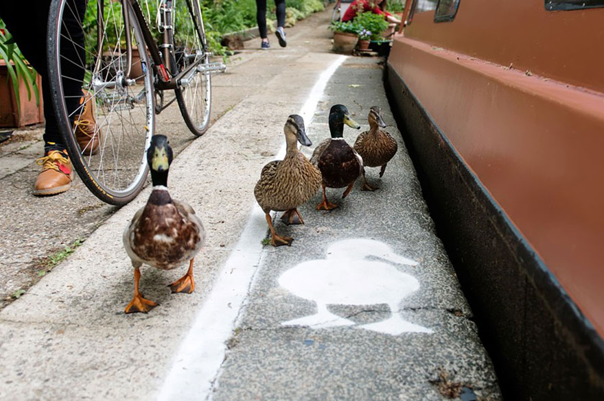lane-duck-path-london-sharethespace-3 lane-duck-path-london-sharethespace-3