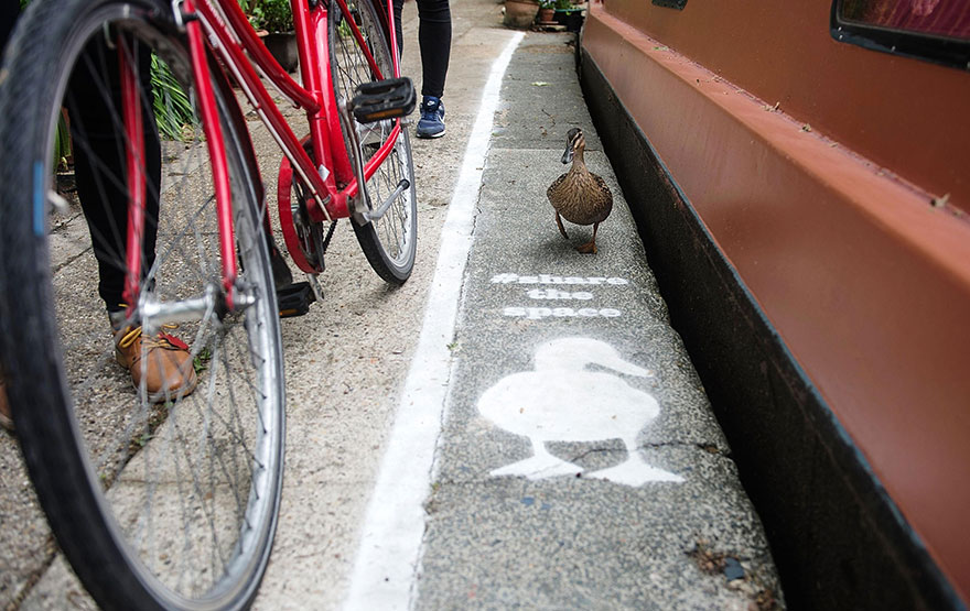 lane-duck-path-london-sharethespace-9