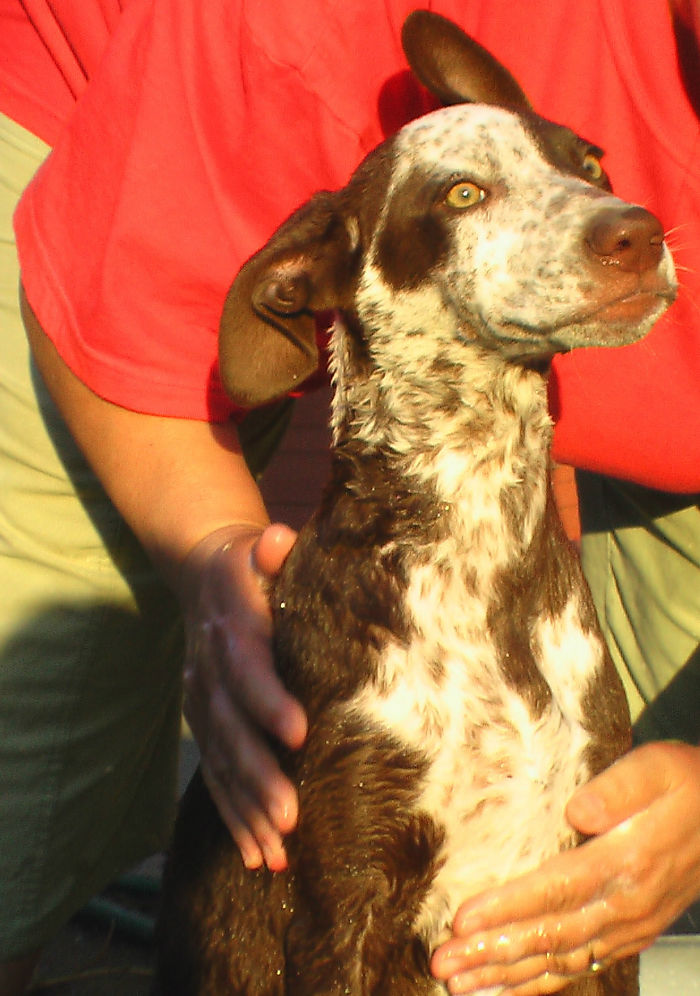 Am I Really Taking A Bath?