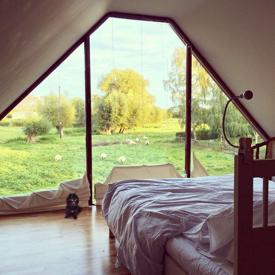 "Travel" With My Dog: I Photoshopped My Dog Into My Traveling Photos "Travel" With My Dog: I Photoshopped My Dog Into My Traveling Photos