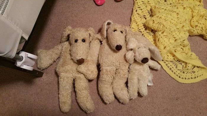 My Daughters Puppy, My Second Mutt Mutt (my Mom Has My Original) And My Daughters Baby Puppy