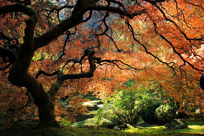 I Found Beauty Only 90 Minutes Away From My Home